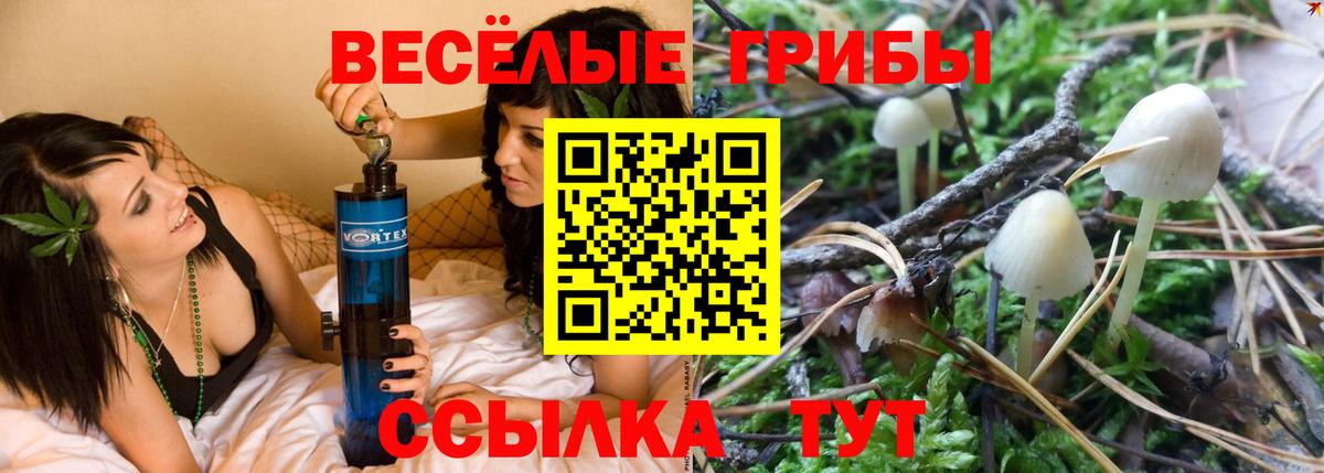 Красный Сулин  Галлюциногенные грибы MAGIC MUSHROOMS  Галлюциногенные грибы Cubensis  купить  цена  Вход с VPN 