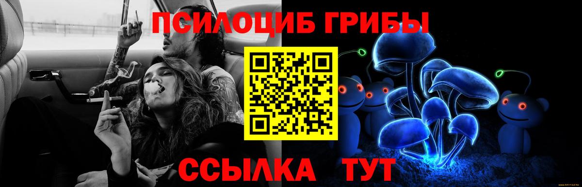 Псилоцибиновые грибы мухоморы Красный Сулин